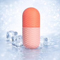 Facial Ice Ice Roller Apply Face Ice Tray