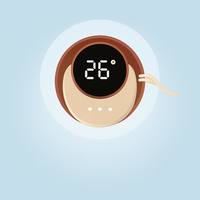 Smart temperature display